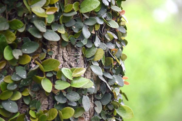 政策解读丨《山东省公共机构节能改造碳普惠方法学》