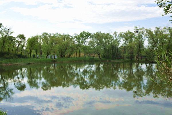 中国室内装饰协会关于发布《家居一体化嵌入式冰箱室内装饰融合技术规范》的公告