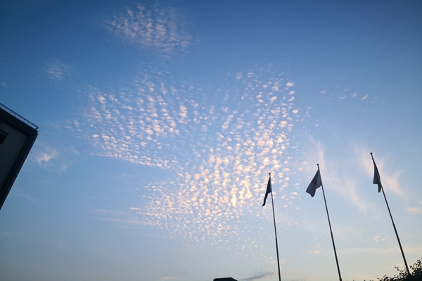 汽车零部件龙头企业地通工业落户武汉经开区