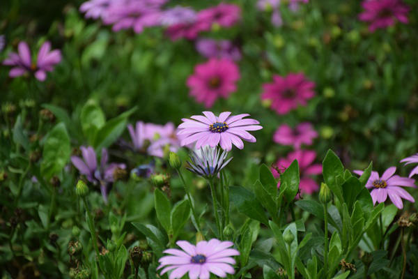 浙江局赴金华调研快递进村和行业发展新质生产力工作