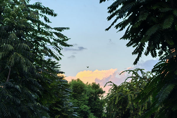 安徽省委一号文件支持农村寄递物流体系建设