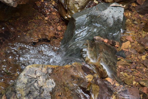 宁夏局机关党建工作连续第三年获自治区考核“好”等次